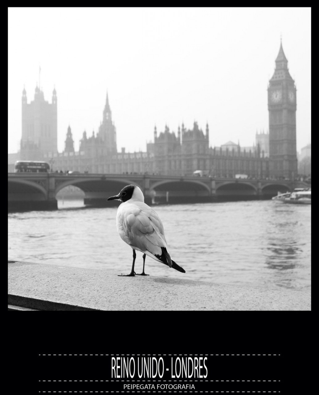 peipegata londres london viajes fotografia peipegatafotografia